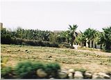 Malta Dim Film II (19)